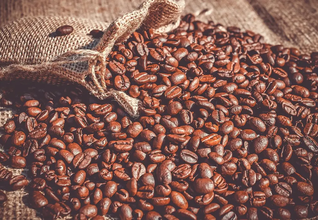 Mitos sobre el café de especialidad