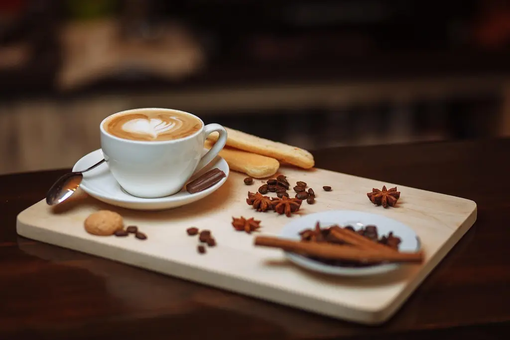 Guía para principiantes del café de especialidad