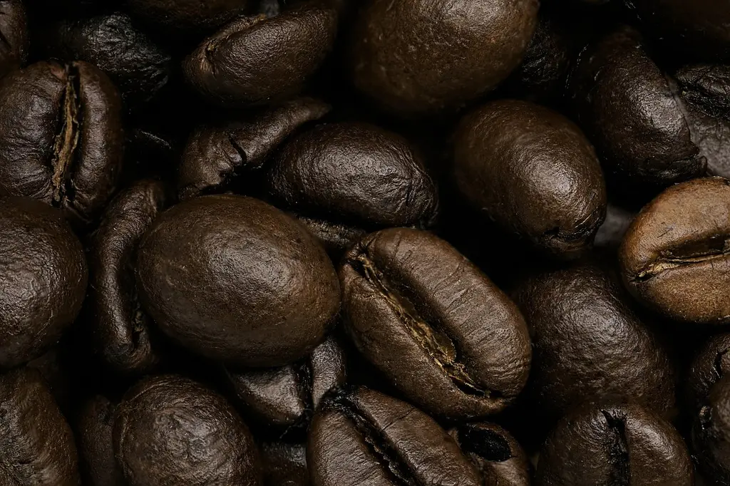 Preguntas frecuentes sobre cafés de origen